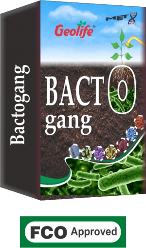 Bactogang