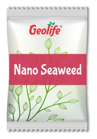 Nano Seaweed