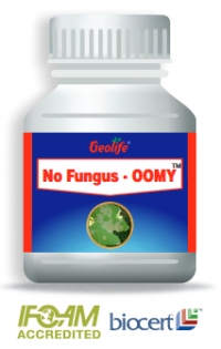 No Fungus OOMY